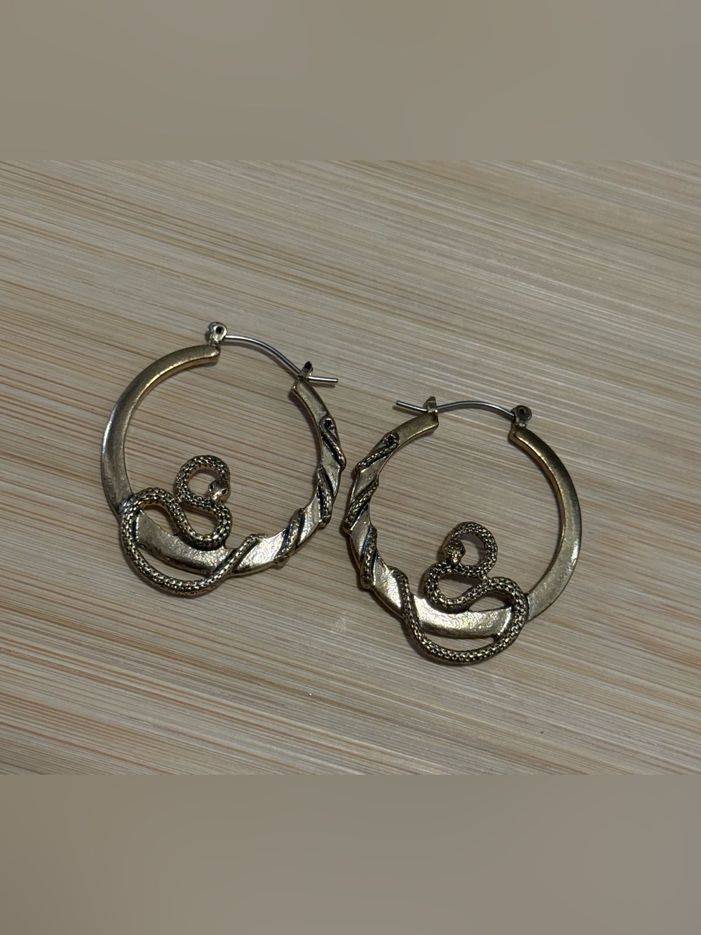 Gold Tone Snake Hoop Earrings